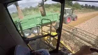 Harvesting Wheat With Matthew - New Holland CX8070 - GoPro HD