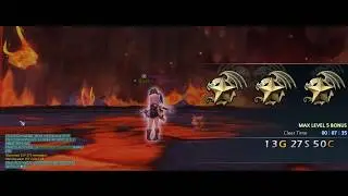 Adept Solo Volcano Nest 95 [Hell Mode] Dragon Nest INA