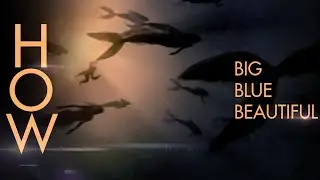 How Big, How Blue, How Beautiful - Mermaids