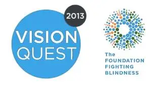 VQ 2013 London: Living with Vision Loss - Kash Husain