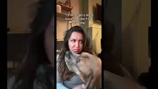 The nerve of some people #dogs #travel #dogshorts #traveldog #greatdane #dogmom #seniordog