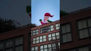 New York City / Christmas Trees, Lights and Decorations / 2025