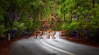 Margaret River | Walking in the forest