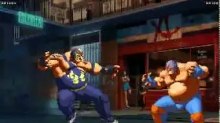 raiden classic snk