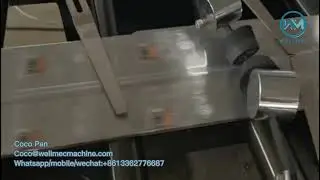 Middle Sealed Side Gusset Stand-up Pouch Making Machine Pet Food Zipper Doypack Bag Making Machine