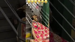 😂🔥 #funny #viral #edit #fail #failvideos #laugh #fails #funnyfailmoments  PART 6