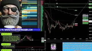 The Stock Market Show
