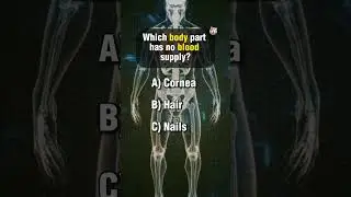 Ultimate Anatomy Quiz Part 1. #science #anatomyquiz #anatomy