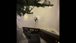 Christmas Layout 2025