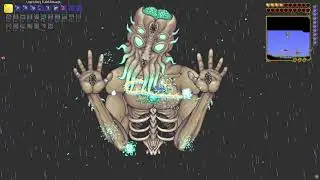 Terraria Summoner (Stardust Dragon) vs All Bosses