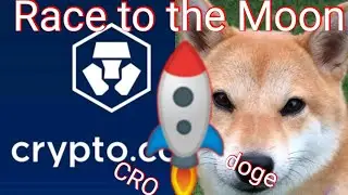 Crypto Race to the Moon - CRO or Doge - Who will Hit $1