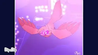 !Catilist Flying!