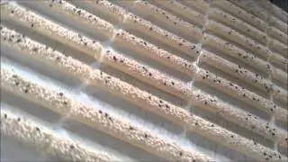 Bread Stick Machine
