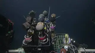 ROV Hercules Dive NA121 H1821 2020 09 30 14 37 24 213 UTC 9