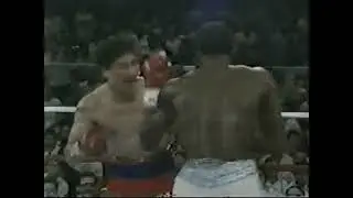 Wilfredo Gomez vs Alfredo Layne Full Fight