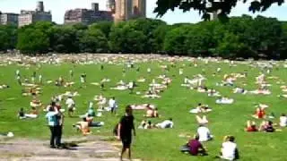 Central Park Sun Bathing
