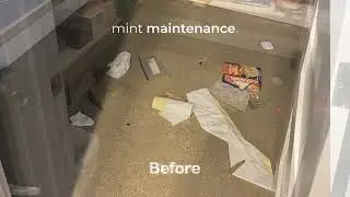 Trusted by hundreds of homeowners in Denver | Contact us at 720-710-5295 | Mint Maintenance
