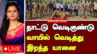 🔴Top News | Coimbatore | Elephant injured in mouth after country made bomb explodes
