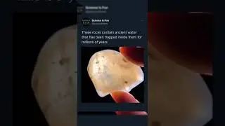 Exploring the Mysterious Ancient Rock with Trapped Water #dailydoseofshorts #dailydoseofinternet