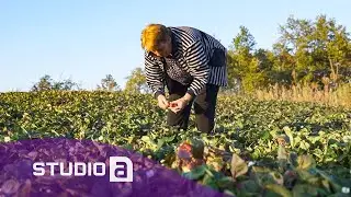 Shkurte Rrustemi filloi nga zeroja, por sot &euml;sht&euml; nj&euml;ra nga grat&euml; m&euml; t&euml; suksesshme n&euml; biznes