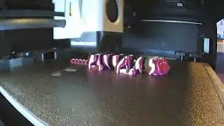 Sleeping Cat Print