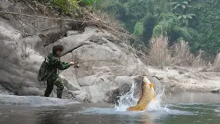 Searching for wild food in the forest - Fishing in streams, surviving alone on the river