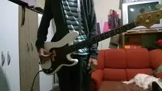 Brvnks - Your mom goes to college (bass cover)