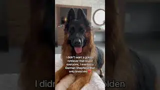Я так рада, что моя собака выбрала меня ❤️