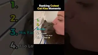 Ranking Cutest Cat Kiss Moments #funny