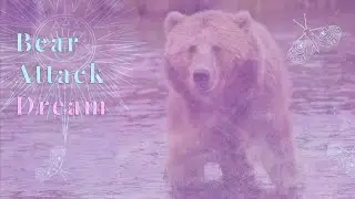 BEAR Attack DREAM? ✨ 🧸 Hidden Spiritual Message |COLLAB WITH @Auntyflo  💗 Here!!