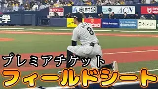 京セラドームのフィールドシートで阪神タイガースの試合を観戦！（大商大シート）に座ってみた！