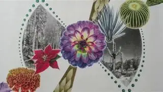BIC Cristal Fashion Tintas de Colores - Flora -