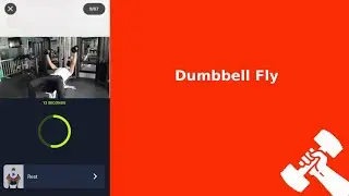 Dumbbell Fly