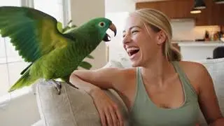 Loro Divertido 🦜