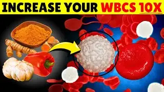 10 Best Foods To Increase White Blood Cells Count 10x Overnight!