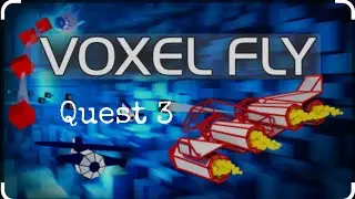 Voxel Fly on Quest 3