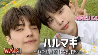 #1 &TEAM ハルマキorはるまき 🐰🐶