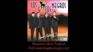 LOS GATOS NEGROS MEGAMIX SABOR TROPICAL