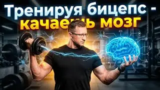 Как силовые тренировки влияют на твой МОЗГ? И почему качки НЕ тупые!