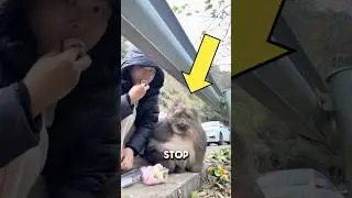 DONT CLICK THE SOUND 🚨 He Found the FINAL BOSS of Monkeys