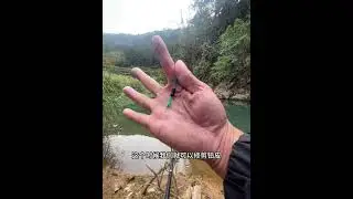 调漂：冬天最常用的“调五钓三”调漂方法全过程！漂相清晰！ #钓鱼只有钓鱼人懂 #户外钓鱼 #钓鱼