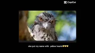 Weird idea