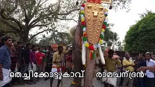 Thechikottukavu Ramachandran Mass Entry Panthalloor Pooram