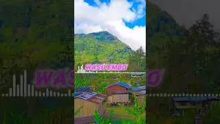 Ukso bats _Wasu_Embo
