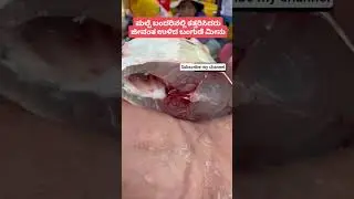 fish #comedy #goat #reels #recipiesinkannada #viralvideo #fishfry #animal #fishrecipe #fish