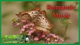Relaxing Piano Music - Beautiful Romantic Music for Valentine's, Sleep, Spa, Work, Study [3 Hours]★2