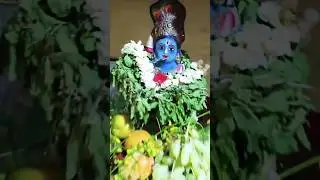Vishu Kani #vishukani #vishu #shorts #vishukani