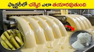 పంచదార ఎలా తయారుచేస్తారు | How Sugar Is Made In Factory in telugu | sugar processing | sugar-making
