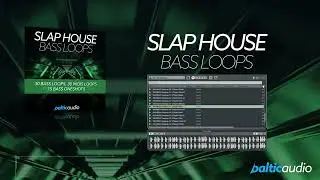 WHAT'S INSIDE -  Slap House Bass Loops (30 Bass Loops, 30 MIDI Loops, 15 Bass Oneshots)