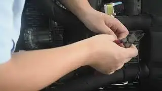 Replacing the Pump of the Ice Bath Machine
